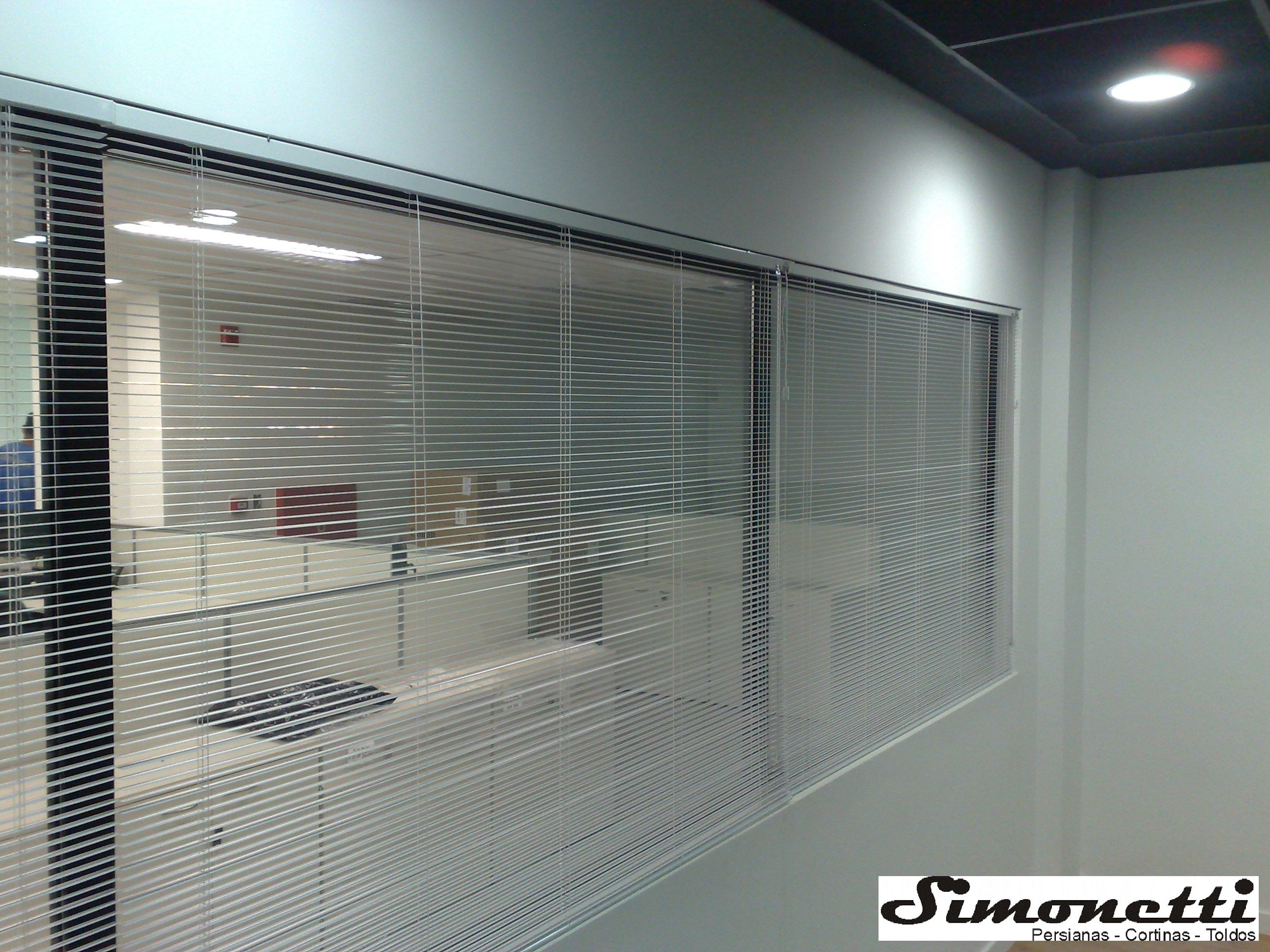 ECOPISTA 29112009591.jpg